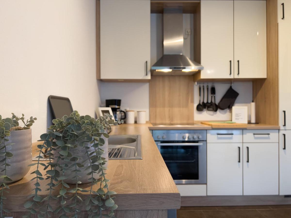 Zentral. Stylisch. Toni House Mit Viel Platz! Villa Lingen Dış mekan fotoğraf